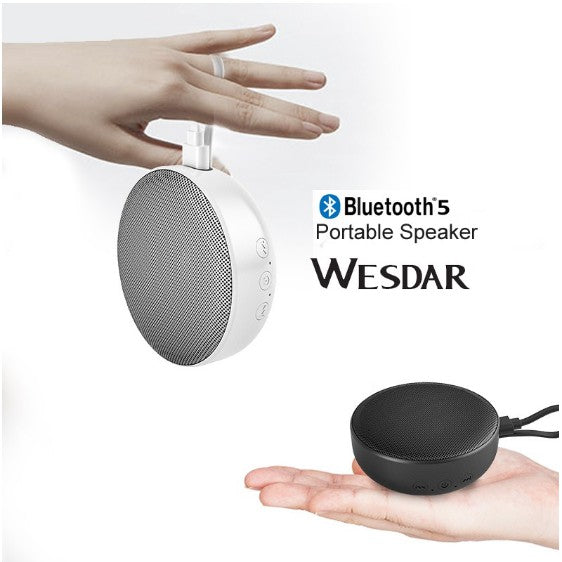 Wesdar K66 Bluetooth 5.0, Support TWS Portable Speaker
