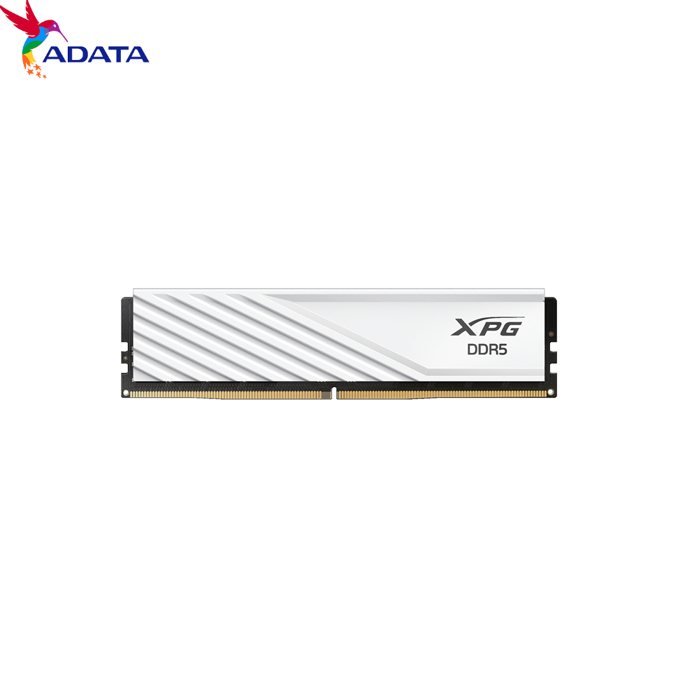 ADATA RAM PC Lancer Blade DDR5 5600 16GB (XPG)