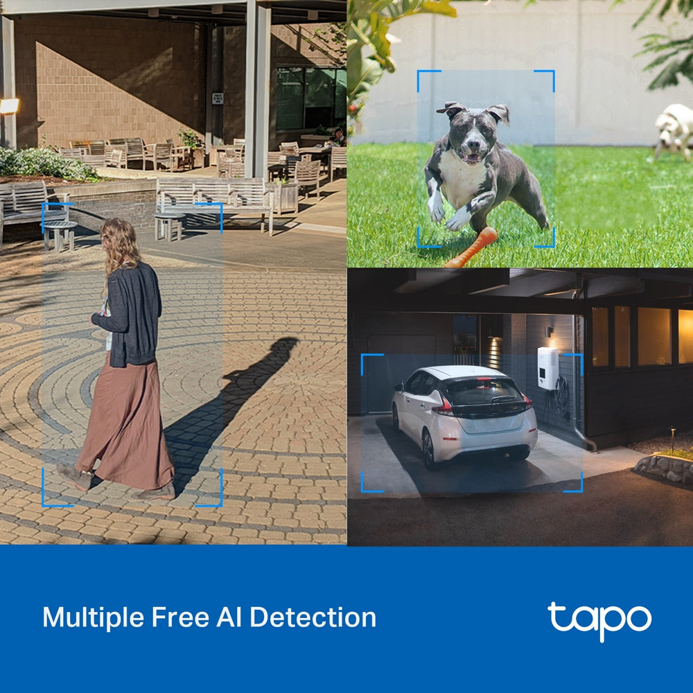TP-Link Tapo C520WS Outdoor Pan/Tilt Security Wi-Fi Camera