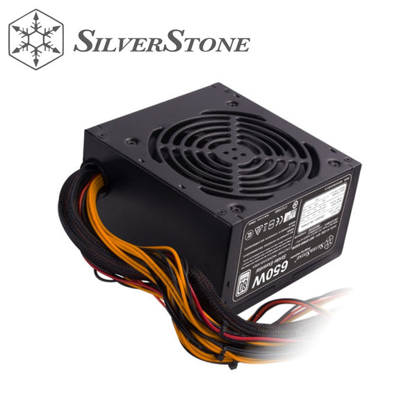 SilverStone ST65F-ES230 Power Supply