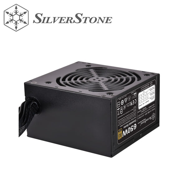 SilverStone ET650-G Power Supply