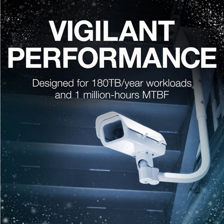Seagate HDD Surveillance Harddisk Skyhawk CCTV Hard Drive