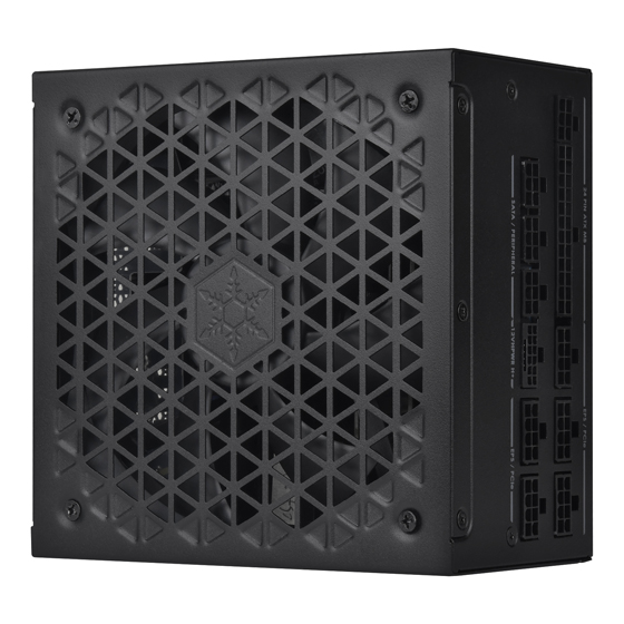 SilverStone DA1000R-GM Gold Cybenetics Gold 1000W ATX 3.0 & PCIe 5.0 Fully Modular ATX Power Supply