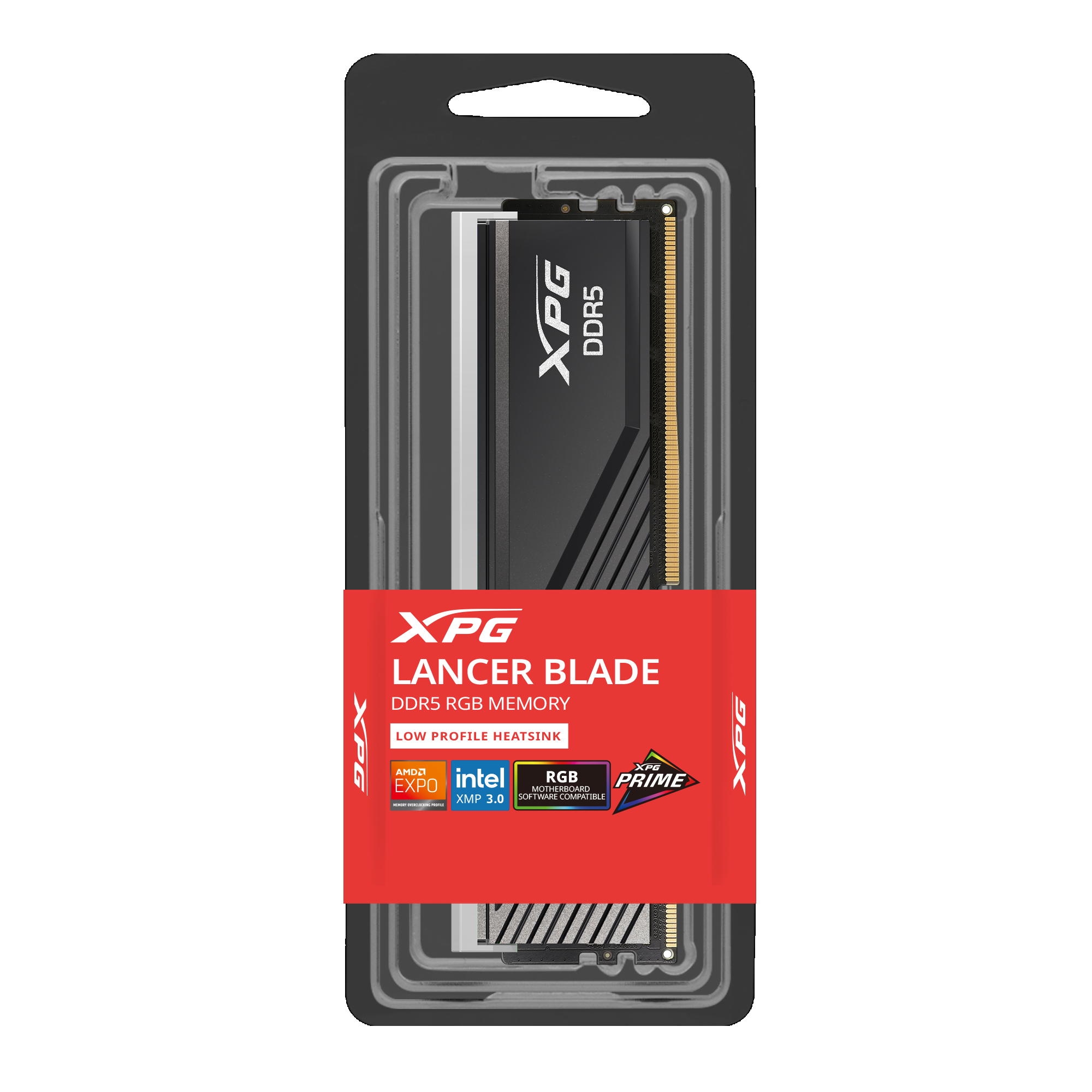 ADATA RAM PC Lancer Blade RGB DDR5 6000 16GB / 32GB (XPG)