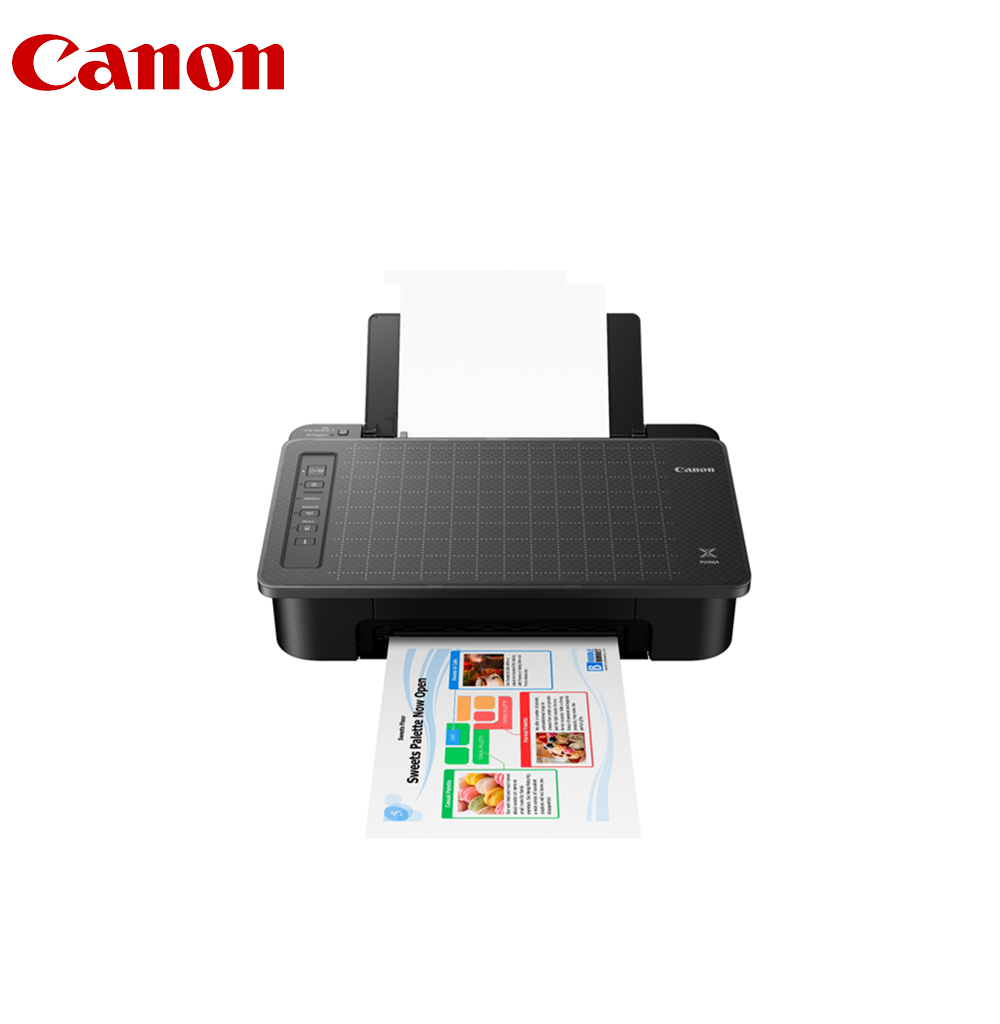 Canon PIXMA TS307 Wireless Printer with Smartphone Copy